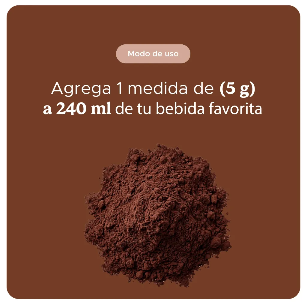 cacao web_Mesa de trabajo 1.webp